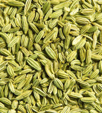 Bade Saunf 100g