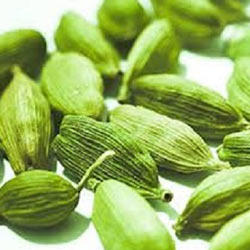 Yallaki 10g